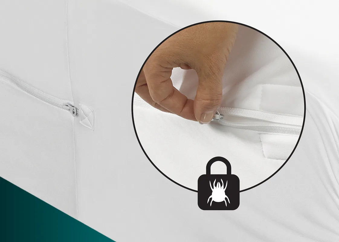 Bed Bugs & Pests