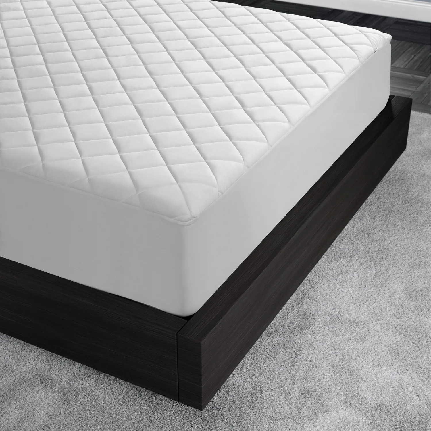 Mattress & Box Spring Encasements